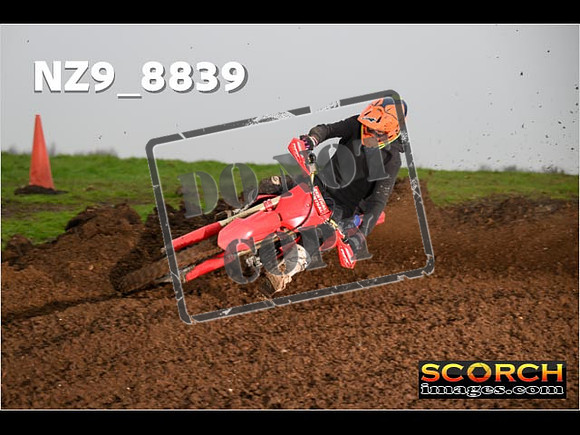 Experts-131