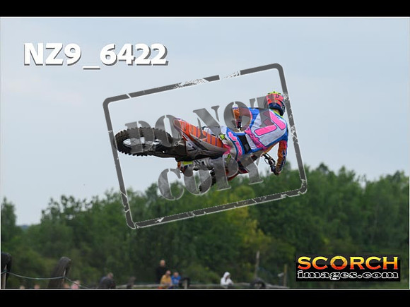Experts-234