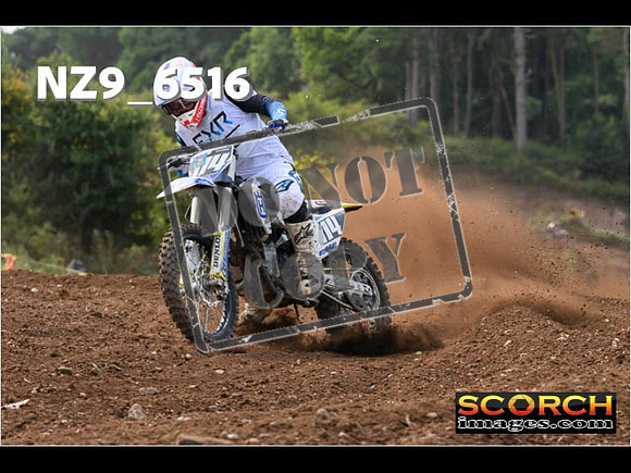 Experts-225