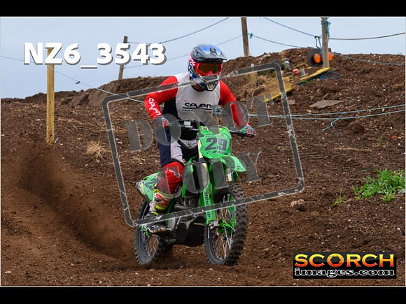 IntersGreen-062