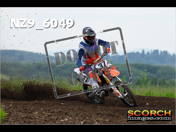 Experts-156