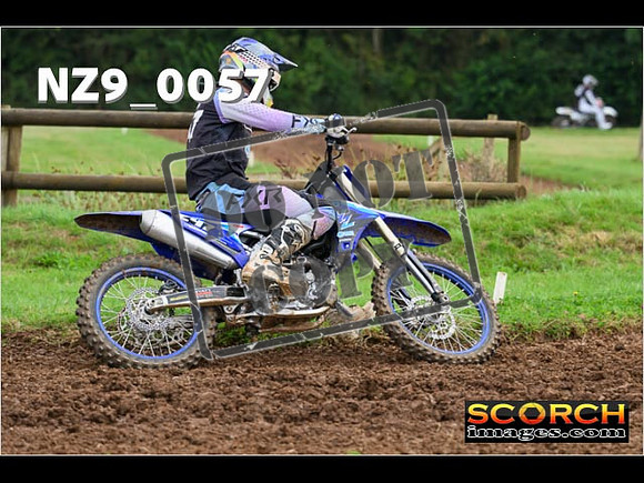 Novice-230