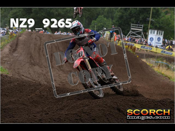 MX1-213