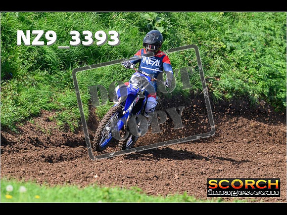 Experts-087