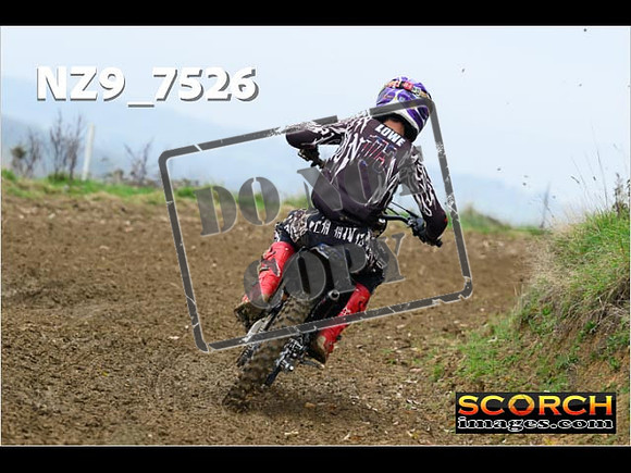 Experts-072