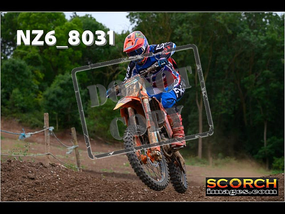 Experts-216
