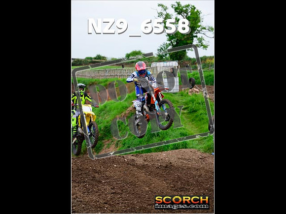 InterGreen-066