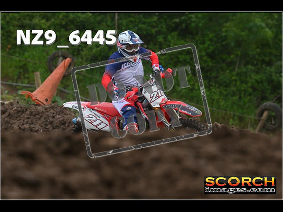 Experts-257