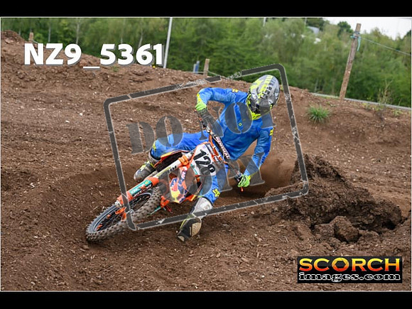 Experts-137