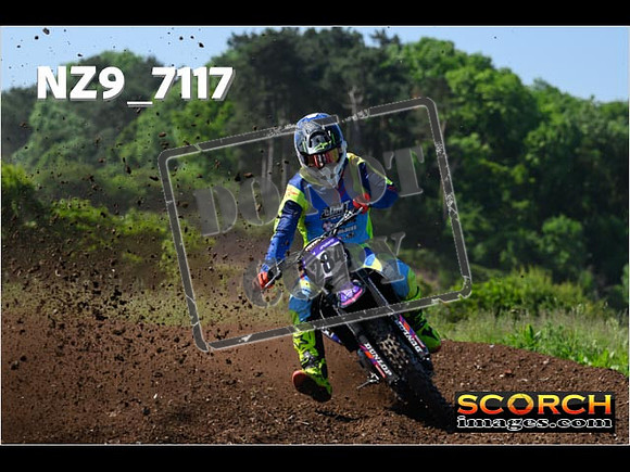 Experts-098