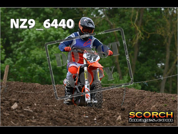 Experts-252