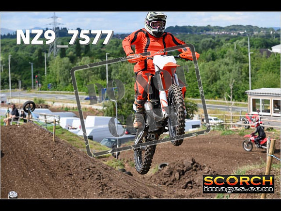 IntersGreenOrange-065