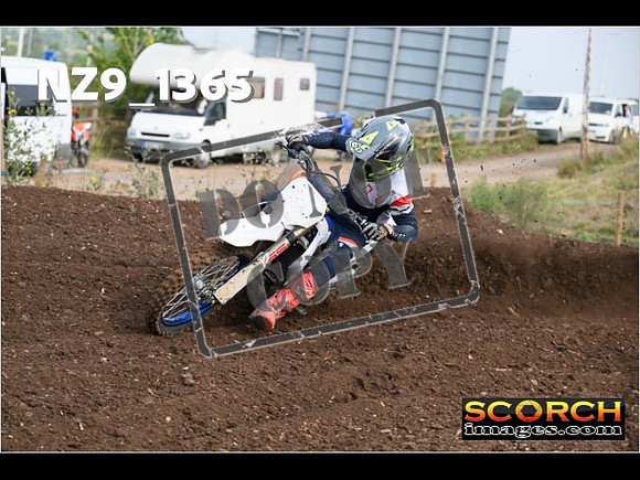 Experts-071