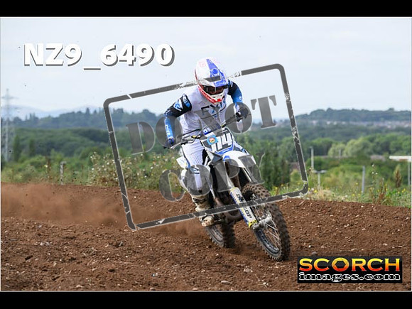 Experts-203