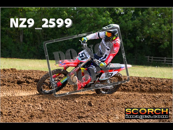 Experts-160