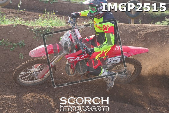 IMGP2515