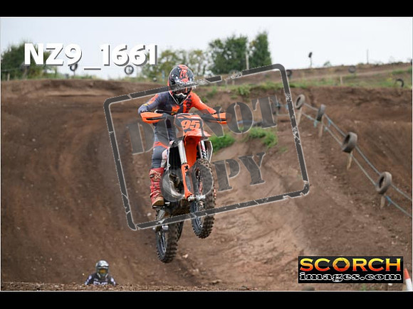 IntersGreenOrange-067