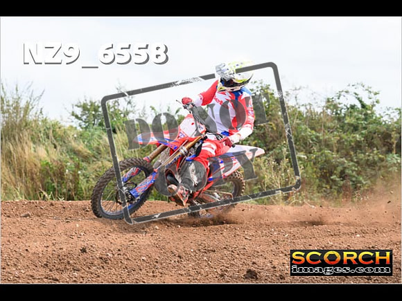 Experts-267