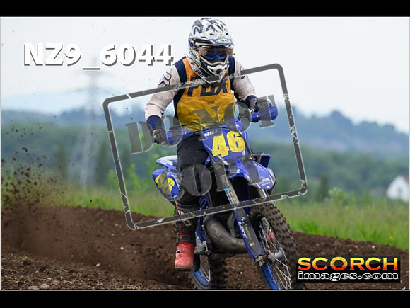 Experts-151