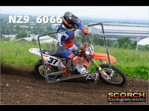 Experts-173