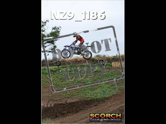 Experts-124