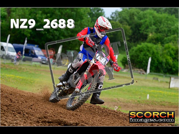 Novice-277