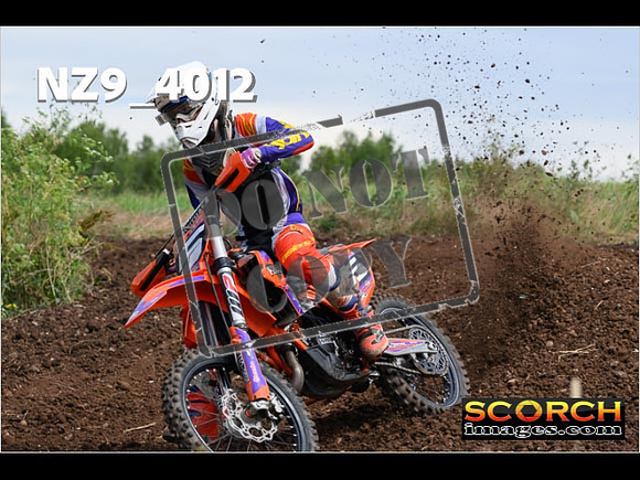 Experts-119