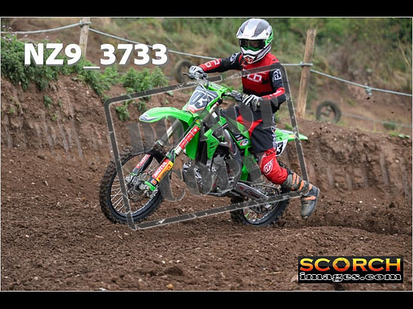 IntersGreenOrange-098