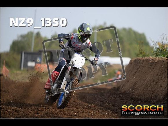 Experts-056