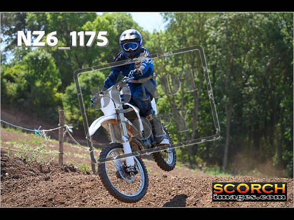 Experts-143