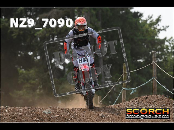 Experts-481