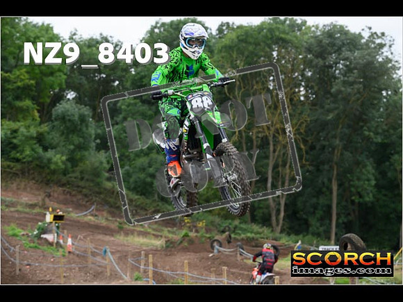 IntersGreen-051