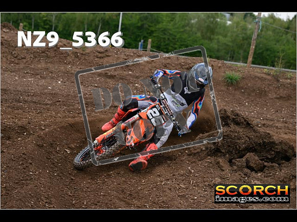 Experts-142
