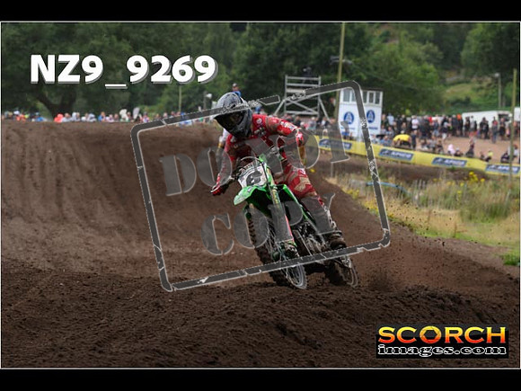 MX1-217