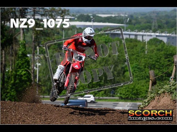 Experts-153