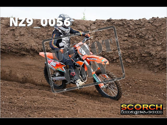 Inters GreenOrange-066