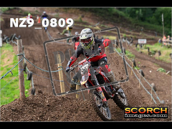 Experts-077