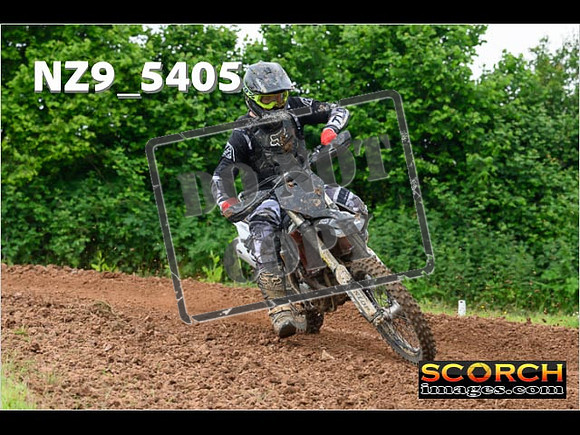 Experts-339