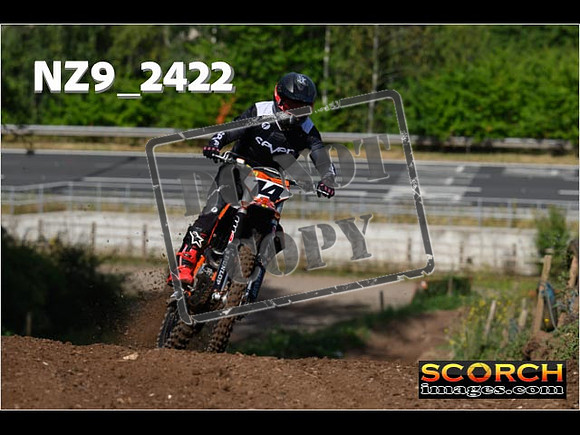 Experts-079
