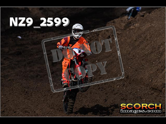 Experts-067