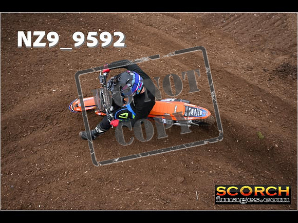 Experts-047