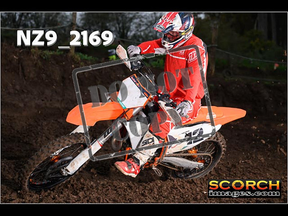 Experts-174