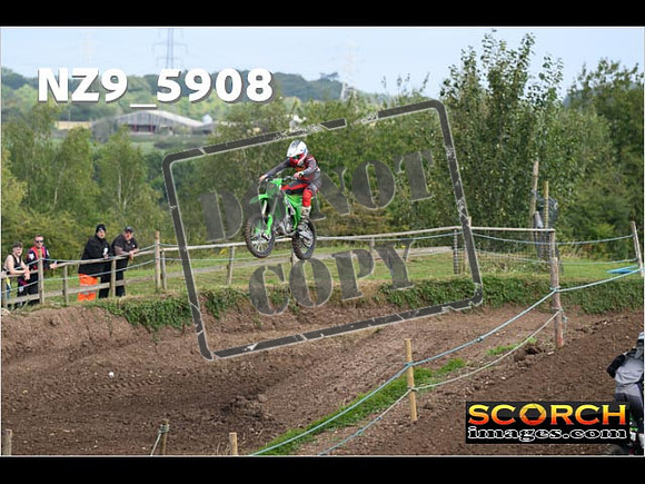 IntersGreen-096