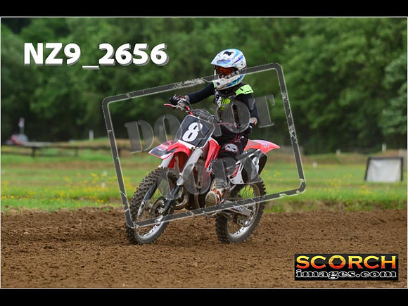Novice-245