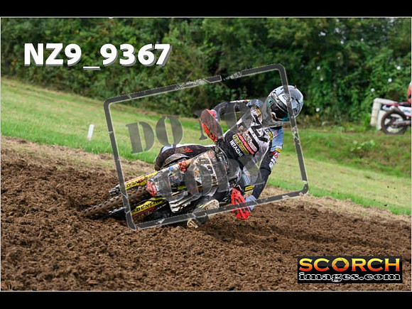 Experts-035