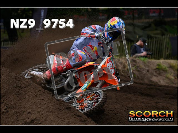 MX1-306