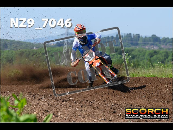 Experts-031