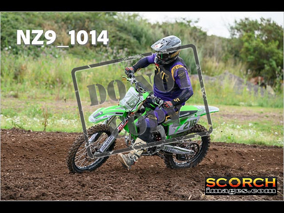 IntersGreen-031
