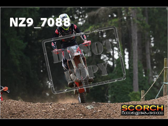 Experts-479