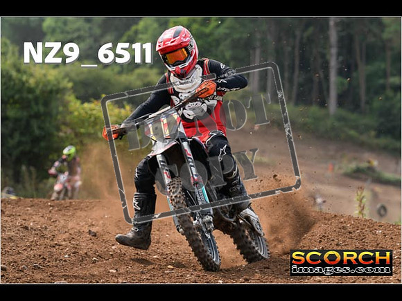 Experts-220